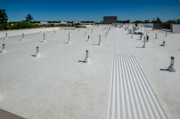 Best Commercial Roofing Services  in Palm Beach, FL